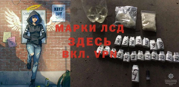 стаф Алзамай